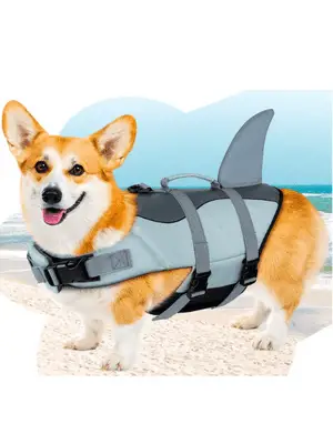 are corgis water dogs
